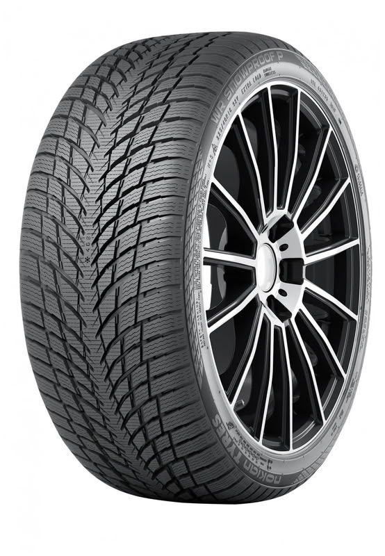 Шины Ikon Tyres WR Snowproof 2 255/45 R20 105V
