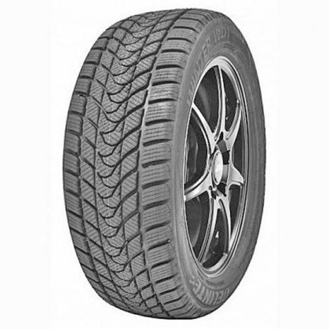 Шины Delinte Winter WD1 205/65 R16 95T
