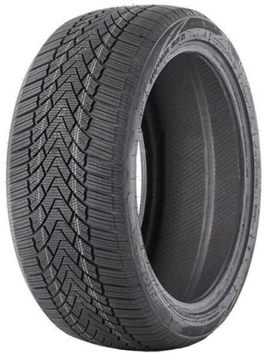 Шины Fronway Icemaster 1 225/45 R19 96V