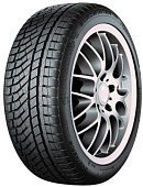 Шины EUROWINTER HS02 PRO 